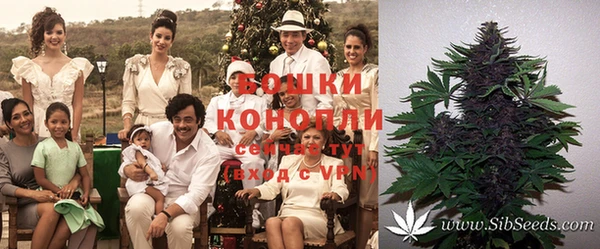 каннабис Алексеевка