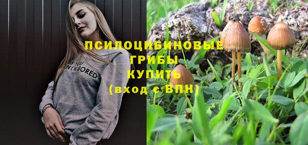 МДПВ Алзамай