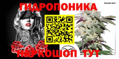 гидра Гагарин