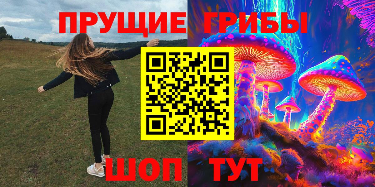 Псилоцибиновые грибы Psilocybe Новороссийск