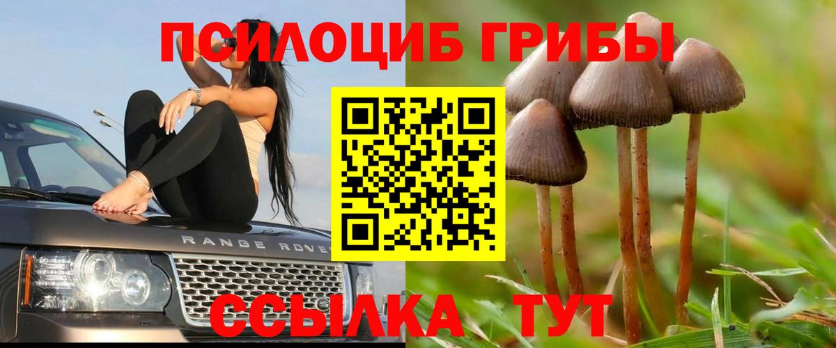 Галлюциногенные грибы мицелий  Вход с VPN  Псилоцибиновые грибы мицелий  Новороссийск 